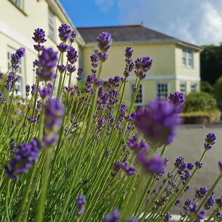 Rose In Vale 4* St Agnes (Cornwall)
