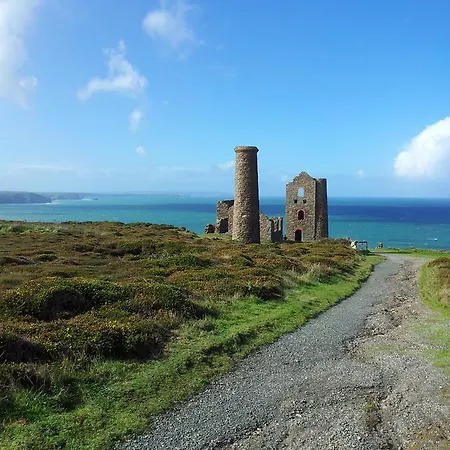 Rose In Vale St Agnes (Cornwall)